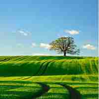 c语​言﻿工​具﻿箱﻿